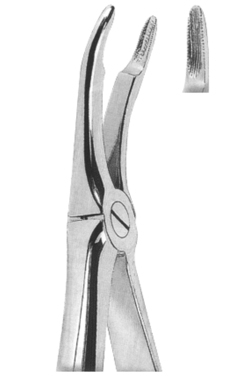 Extracting Forceps English pattern