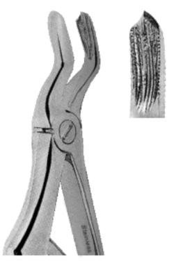 Extracting Forceps American pattern