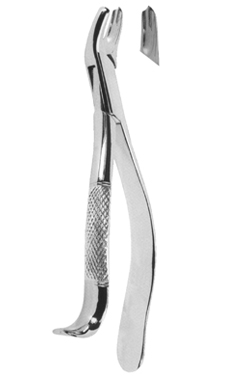 Extracting Forceps American pattern