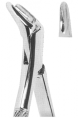 Extracting Forceps American pattern