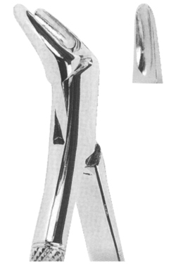 Extracting Forceps American pattern