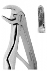 Extracting Forceps American pattern