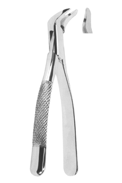 Extracting Forceps American pattern