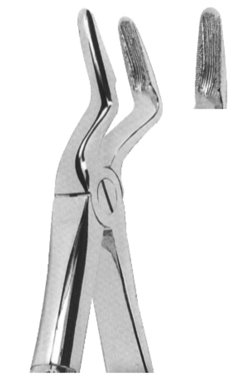 Extracting Forceps English pattern