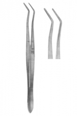 Dental Tweezers